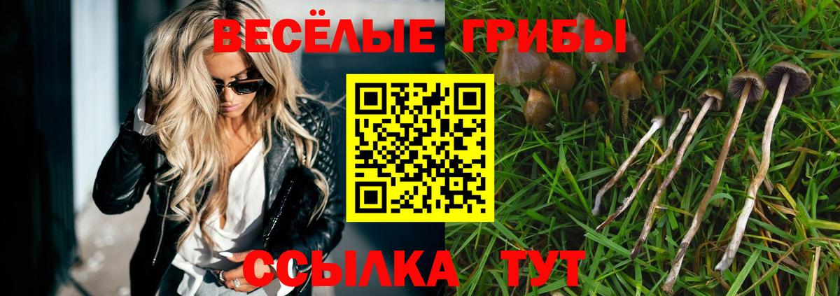 Псилоцибиновые грибы Cubensis  Вход с VPN  Ирбит  Галлюциногенные грибы Magic Shrooms 